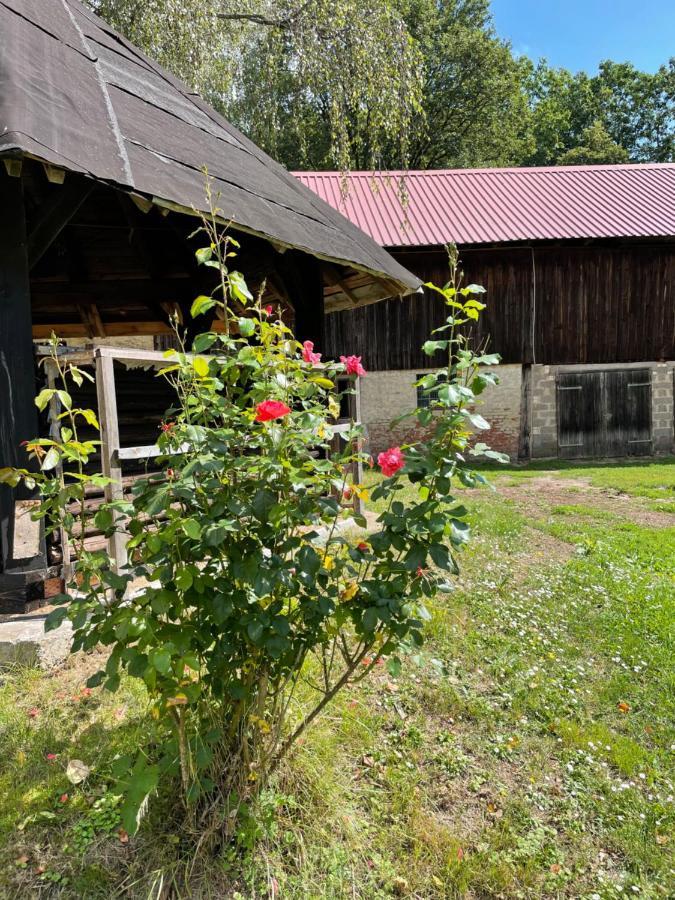 Ferienwohnung Schellnhof Forsthaus am Waldrand Nidda Exterior foto